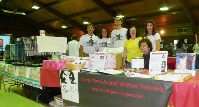 Clockwise from left: Mark Zaccardo, Jen-Eve Frace, Eddie Konczal, Lisa Urbani, Mary Botteon, Mary Ann Cancio Clockwise from left: Mark Zaccardo, Jen-Eve Frace, Eddie Konczal, Lisa Urbani, Mary Botteon, Mary Ann Cancio