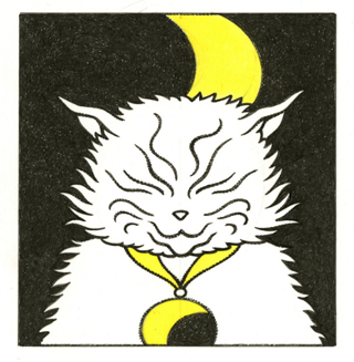The New White Cat The New White Cat