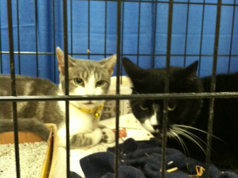 Zack and Tuxie