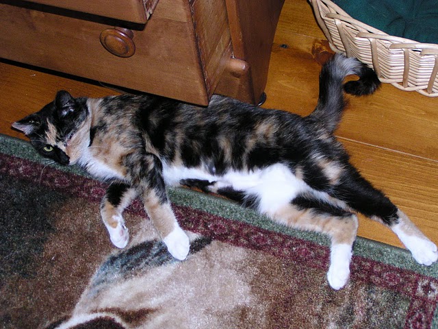 Kit Kat