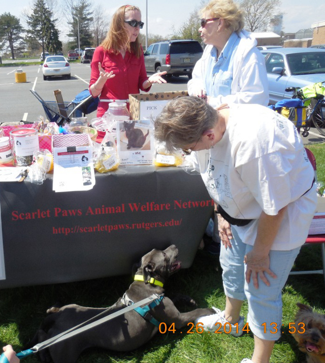 Carol Gibson, Vicky Gorman, Marge Kerber, and dogs